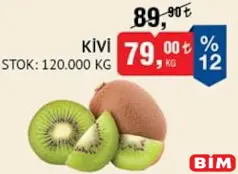 KİVİ KG KİVİ KG